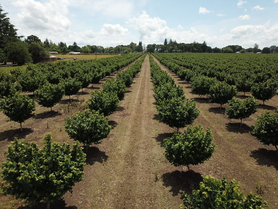 Demystifying the Relationship Between Farm Owners and Operators