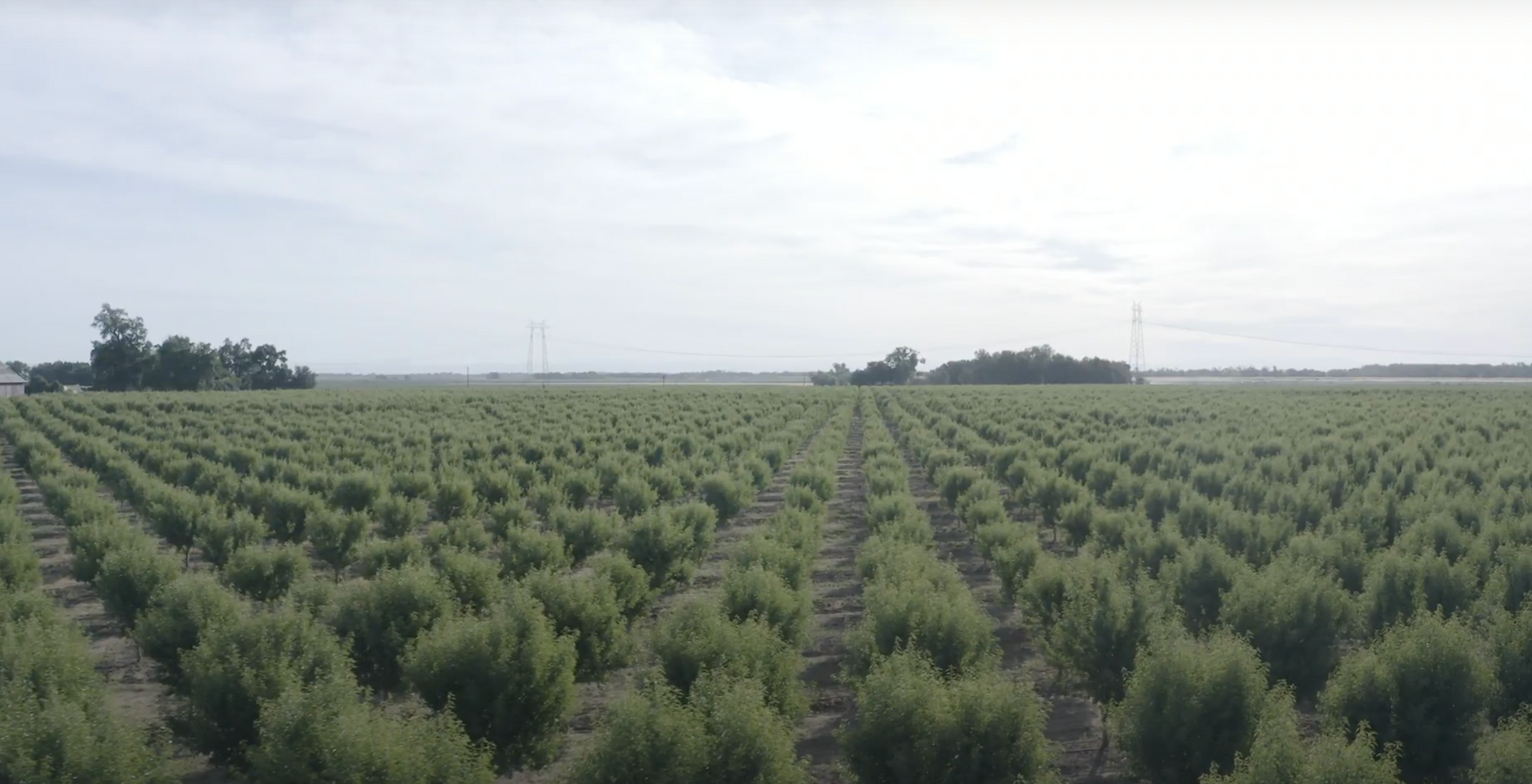 Historical Future Us Farmland Prices By State