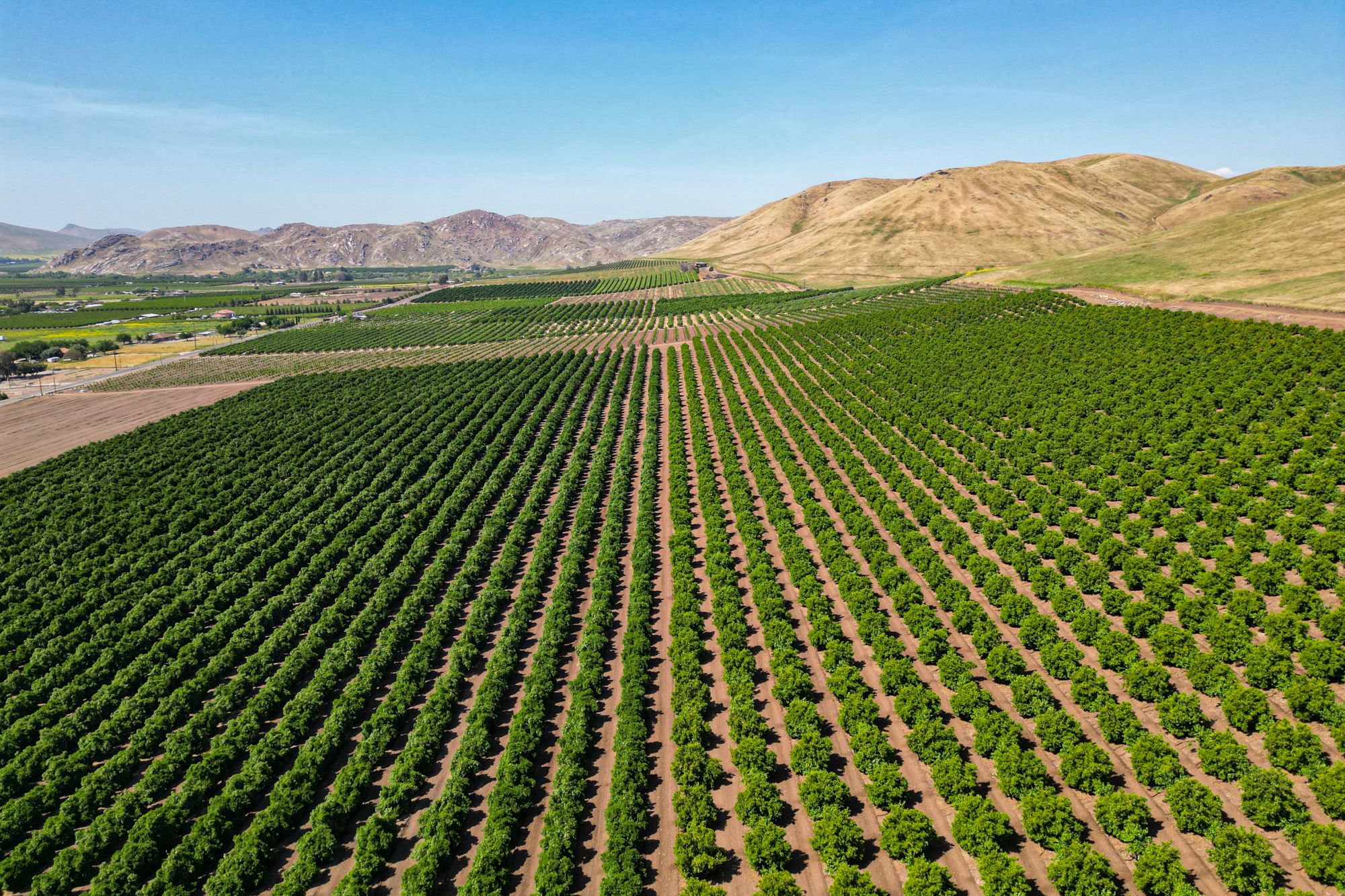 Look Beyond Traditional Real Estate How Farmland Can Complement Your